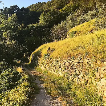 Unique House In The Ancient Monastery Of Eremo Di San Donato * Como